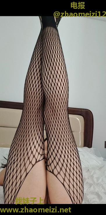 开发区懒猫回归