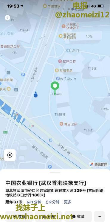 硚口36大E青青