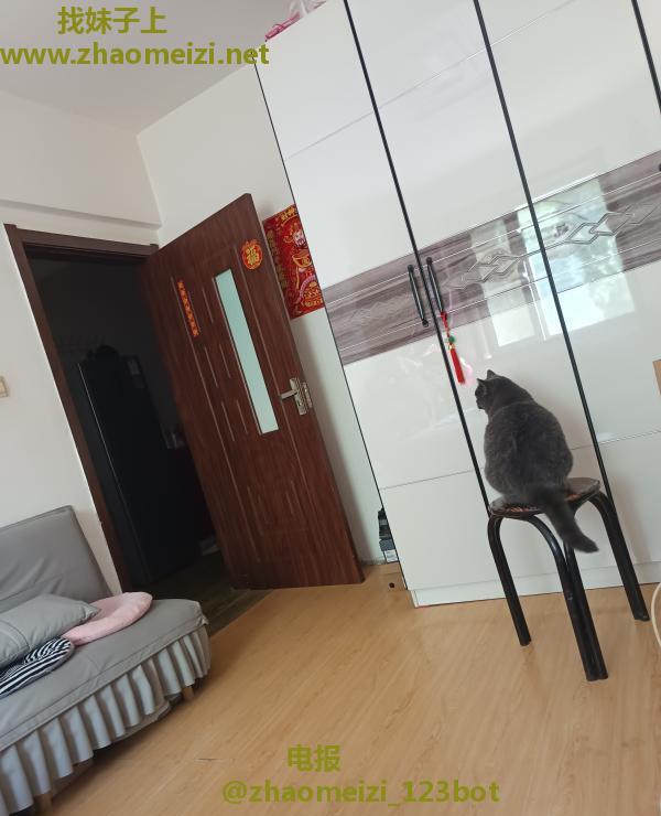 哈尔滨哈西老妹