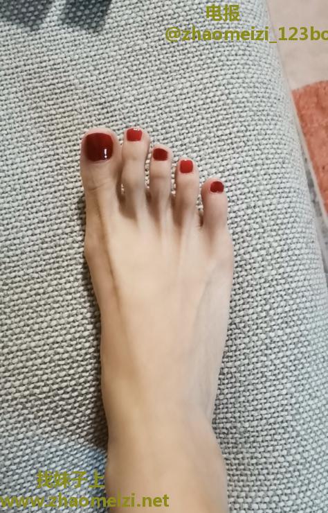 普陀美腿莫妮卡