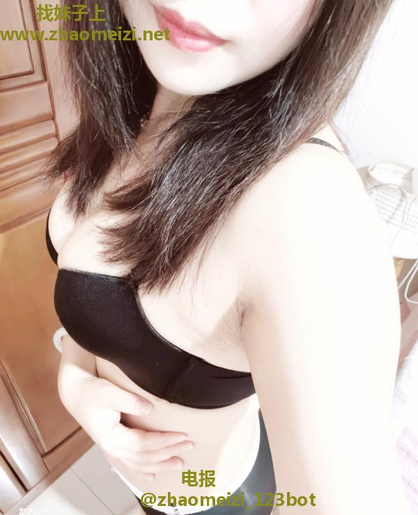 树木岭小狐狸