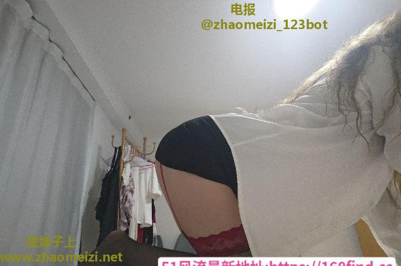佛山服务型小野猫